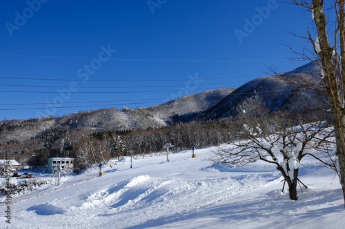 Wallpaper Mural ゲレンデ Torontodigital.ca