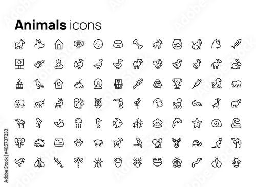 Animals. High quality concepts of linear minimalistic vector icons set for web sites, interface of mobile applications and design of printed products.
