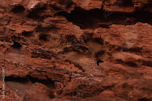 rotting wood with cracks, caves, holes with black splashes