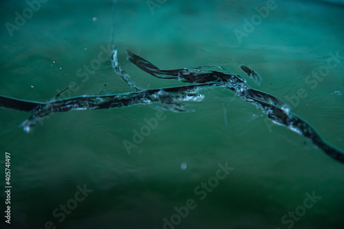 Ice