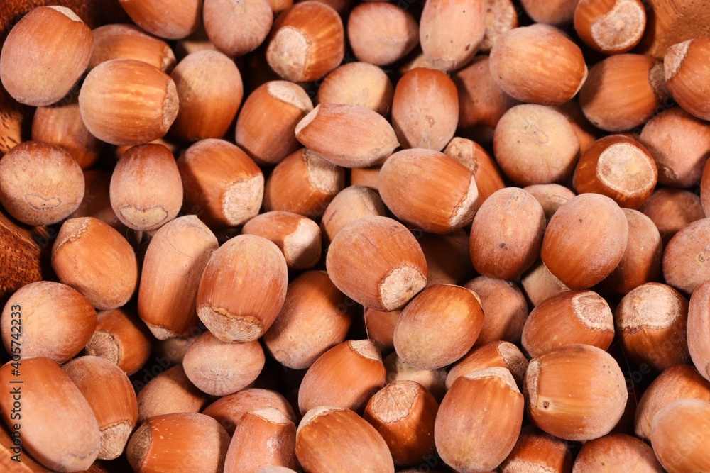 Hazelnuts close-up, view from above. Hazelnuts backgrounds Hazelnuts close-up, view from above. Hazelnuts backgrounds