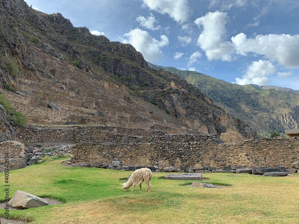 Incas fortress Ollantaytambo town Cuzco region Sacred Valley Peru. Ollanta ancient ruins is situated at altitude of 2800 meters.  