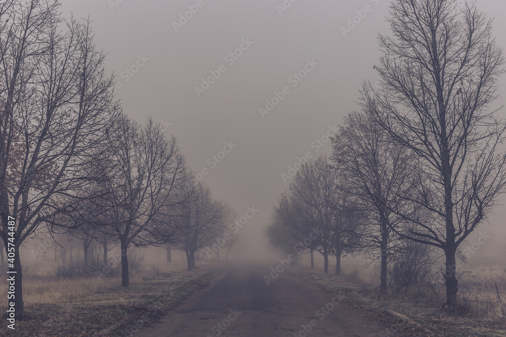 Old asphalt road in autumn park with trees in the fog Old asphalt road in autumn park with trees in the fog