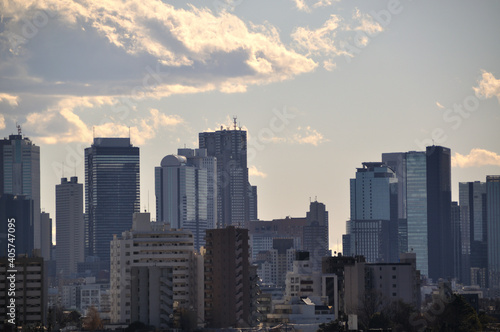 豊島区から見た新宿のビル群 © photo203