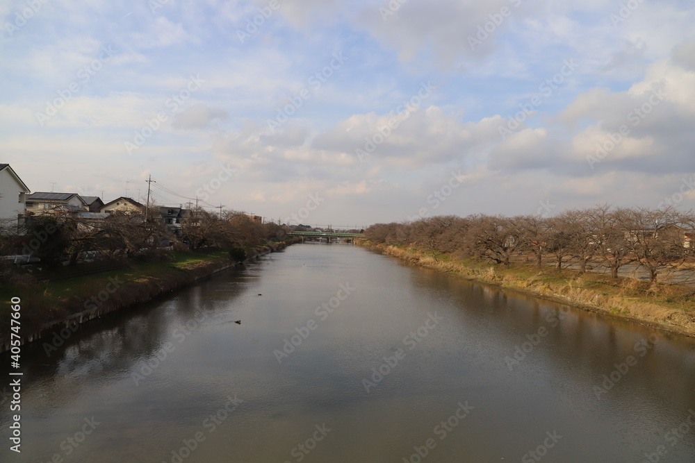 日本の埼玉県蓮田市付近の元荒川沿いの風景