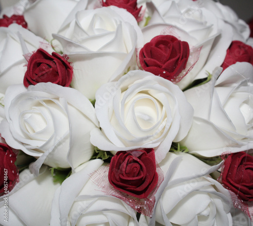 White and red garden beautiful roses.