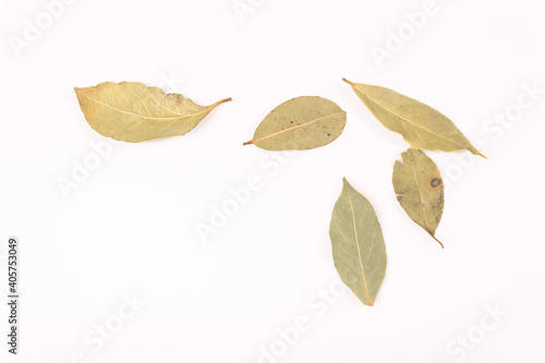 five light laurel leaves lie on a white surface