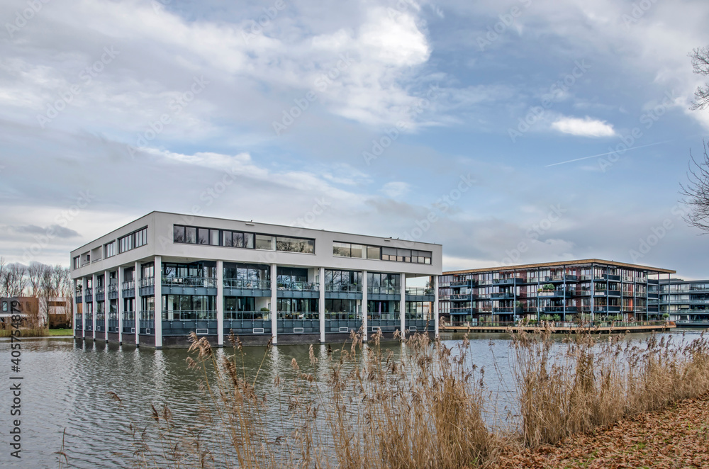 Rotterdam, The Netherlands, January 14, 2021: view across a pond lined with reeds towards two four storey residential blocks in Hillegersberg neighbourhood