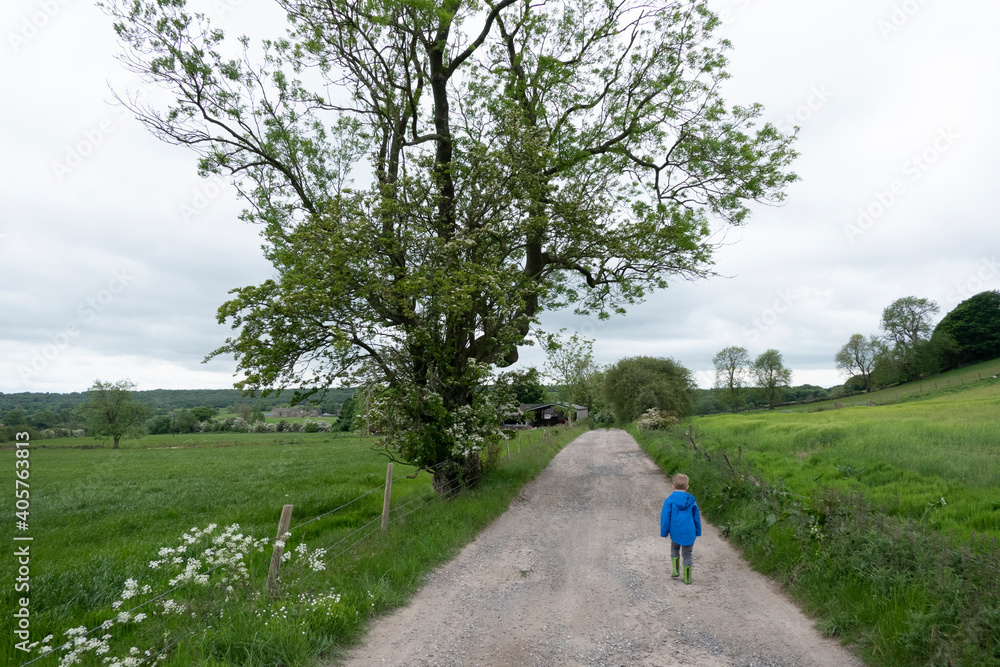 Small boy in blue coat walking down a country track