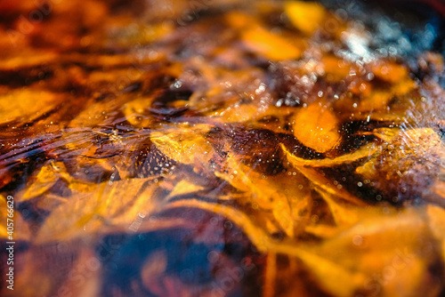 Herbstlaub unter Eis