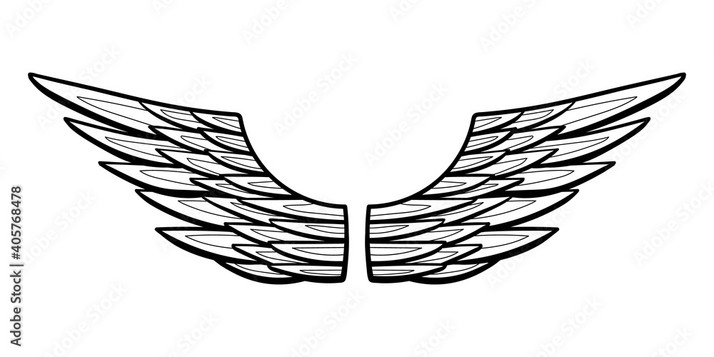 Fototapeta premium Angel or bird wings abstract sketch isolated on white. vector doodle illustration. For your design