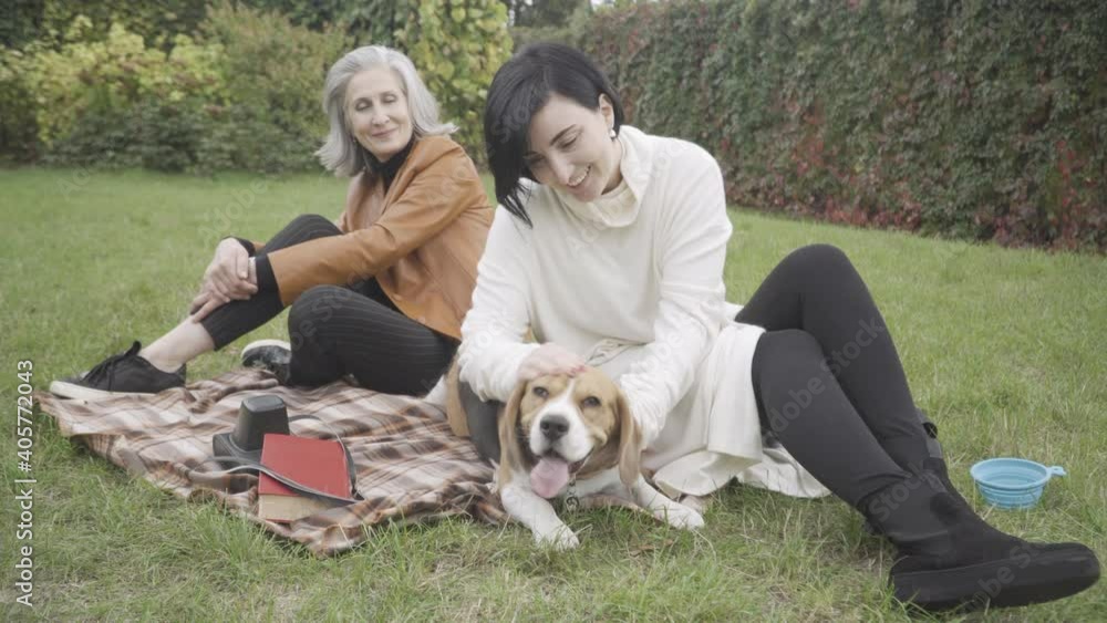 Cheerful young woman caressing dog as senior mother sitting at background talking. Happy Caucasian family enjoying spring or autumn weekend with domestic pet outdoors in park. Cheerful young woman caressing dog as senior mother sitting at background talking. Happy Caucasian family enjoying spring or autumn weekend with domestic pet outdoors in park.