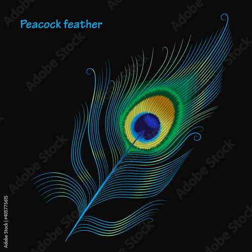 peacock feather on black background with inscription. linear drawing with gradient and design effects. stock vector illustration. EPS 10