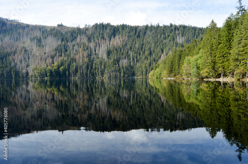 reflection of trees in the lake © Hana