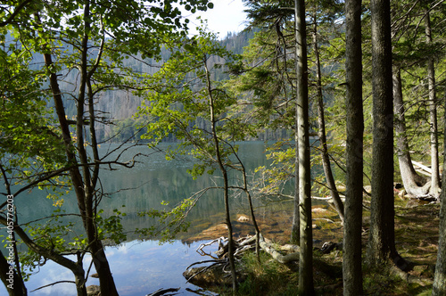 lake in the forest, Šumava, Czech Republic © Hana