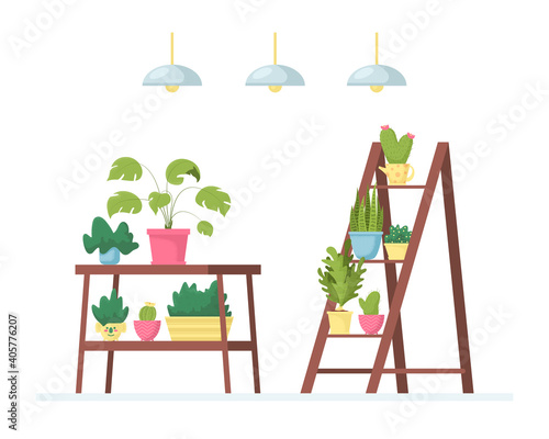Room or office interior with various indoor plants on the shelves, stands, tables. Vector textured illustration of home interior, urban garden. Colorful flower shop banner, poster, ad.