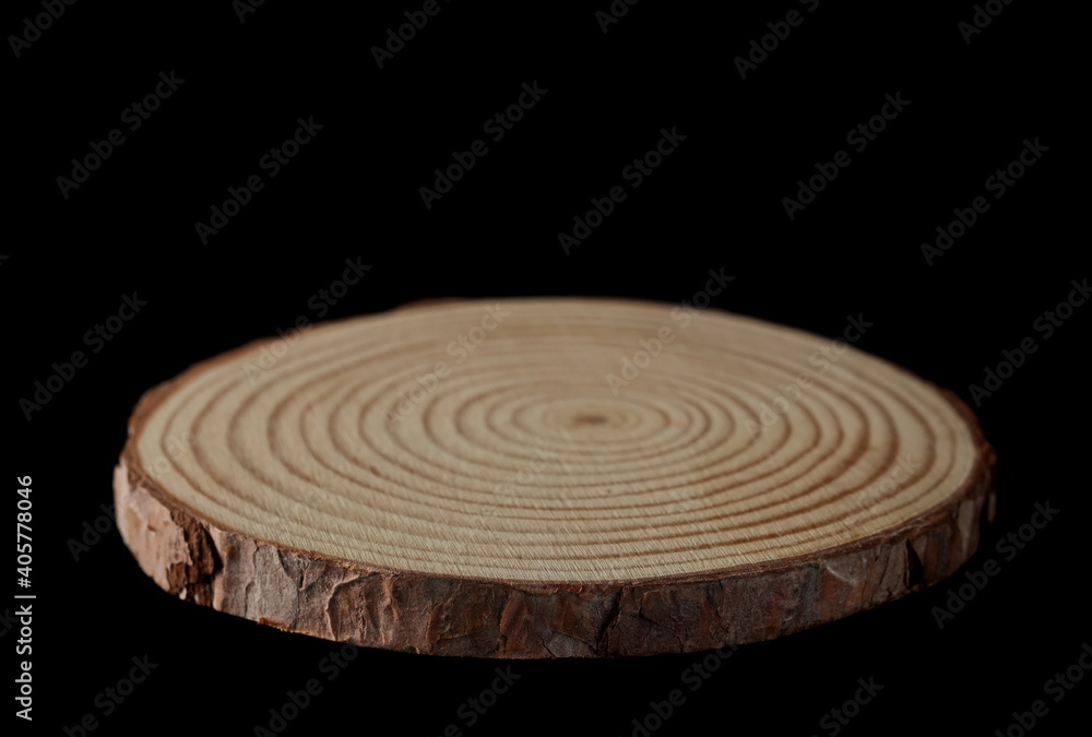 Fototapeta premium Tree trunk cross section, wooden stump isolated on white background