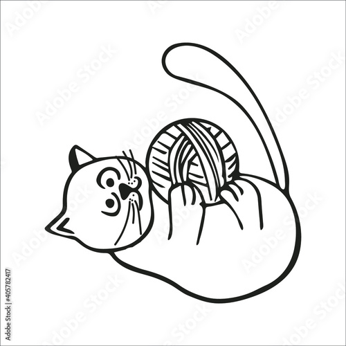 Hand-drawn cute cat. Single element isolated on white background. Vector illustration.