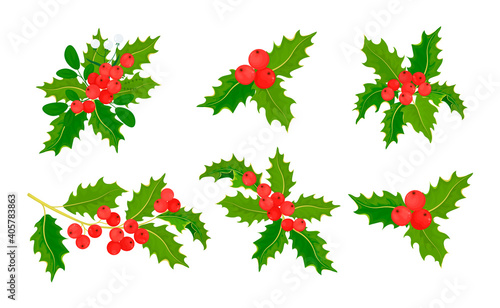 Vector illustration of holly branches. Set of mistletoe.Sprigs of holly with red berries and green leaves. Vector