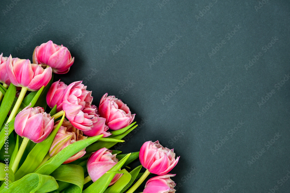 Pink tulip bouquet flower with green leaves isolated on black background chalk board. Copy space. Spring holiday concept.