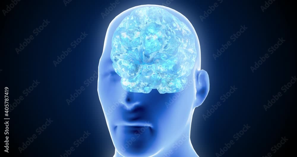 Inside the brain, neurons, the work of neurons, neuroplasticity, brain scan Inside the brain, neurons, the work of neurons, neuroplasticity, brain scan