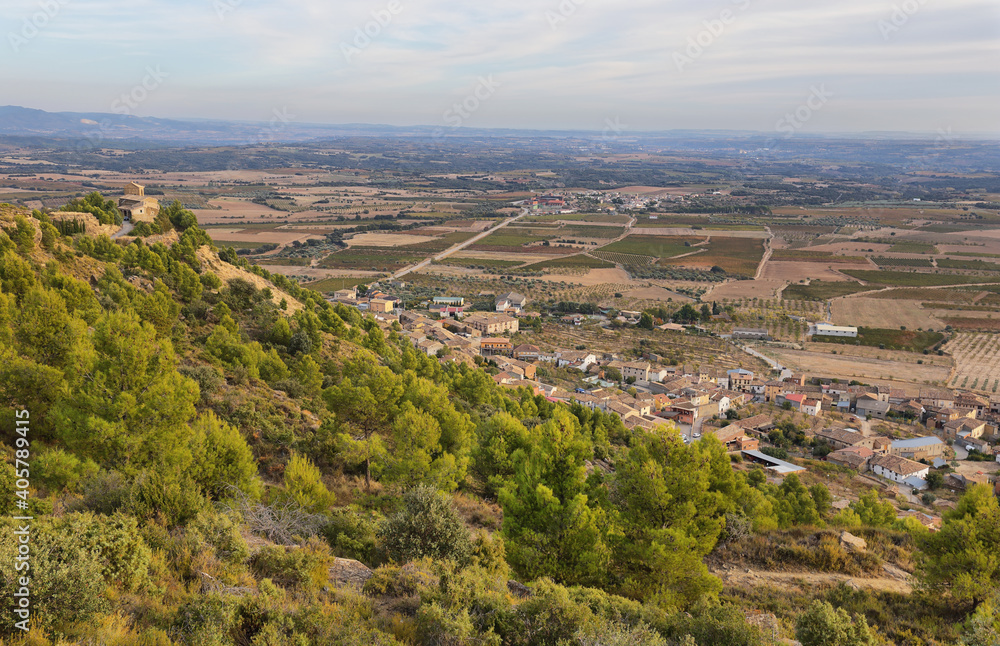 View of vineyards fields of Somontano PDO, Huesca province, Spain