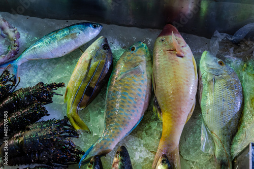 Fototapeta Naklejka Na Ścianę i Meble -  Closeup of variety of fish on the fish market counter