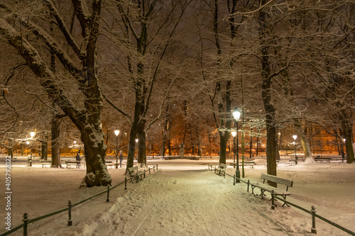 Cracow s Plany in snow