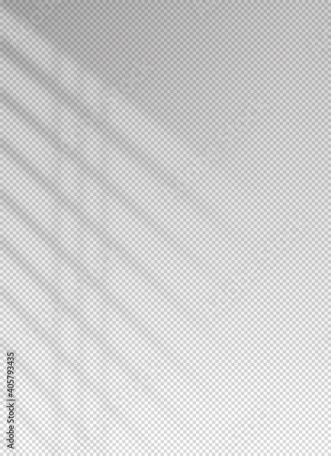 Shadow blinds. Sun light from window. Overlay effect. Shade jalousie transparent. Isolated background. Window blind. Reflection shadows on wall. Realistic soft shade. Vertical shading mockup. Vector