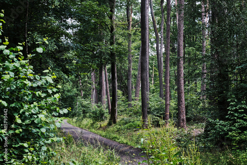 Mischwald am Hauptkamm der Hassberge