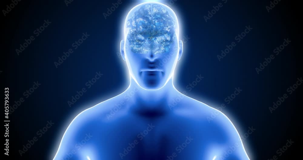 Inside the brain, neurons, the work of neurons, neuroplasticity, brain scan Inside the brain, neurons, the work of neurons, neuroplasticity, brain scan