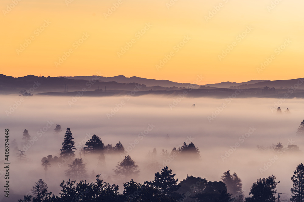Foggy Petaluma Valley