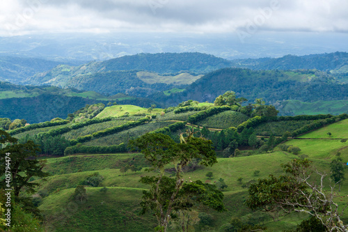 Fototapeta Naklejka Na Ścianę i Meble -  Terras Altas, Berglandschaft in Panama