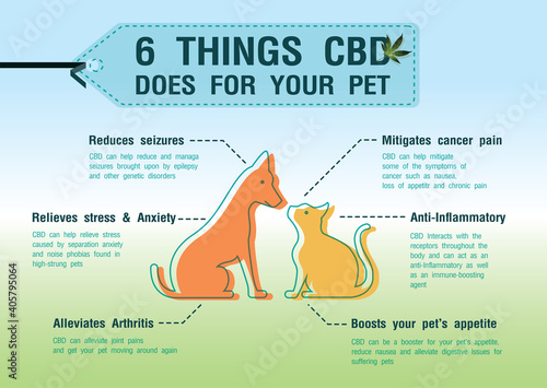 6 things cbd oil does for your pet is infographic an endocannabinoid system too.