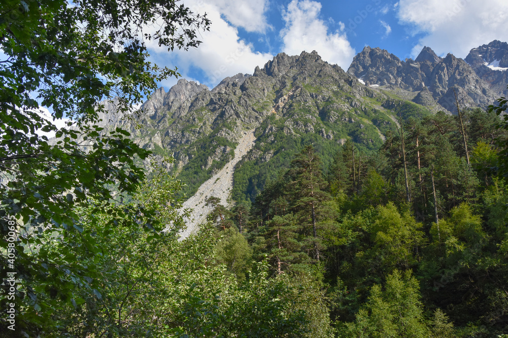 Mountain forest on a sunny summer day in the Tsey gorge, Russia, North Ossetia