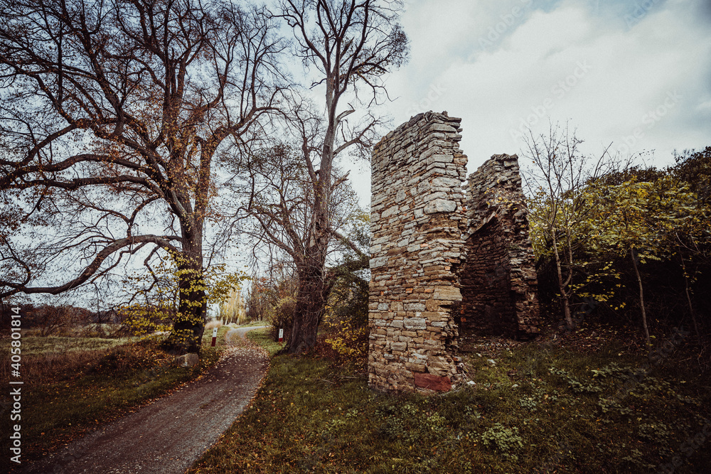 Harz | Burgruine Arnstein