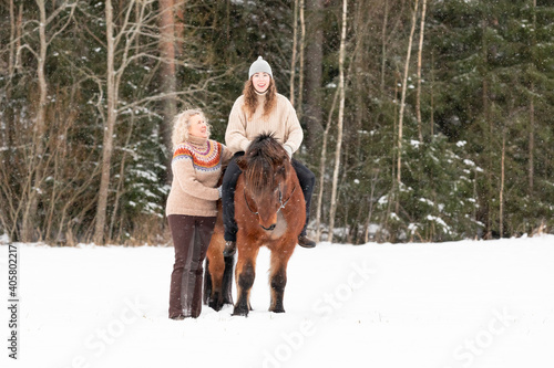  Icelandic horse in wintery scene in Finland © AnttiJussi