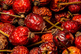 Dried herbs Red rosehip with tails. High concentration of vitamin C, pharmaceutical herb, vitamin tea. macro shooting