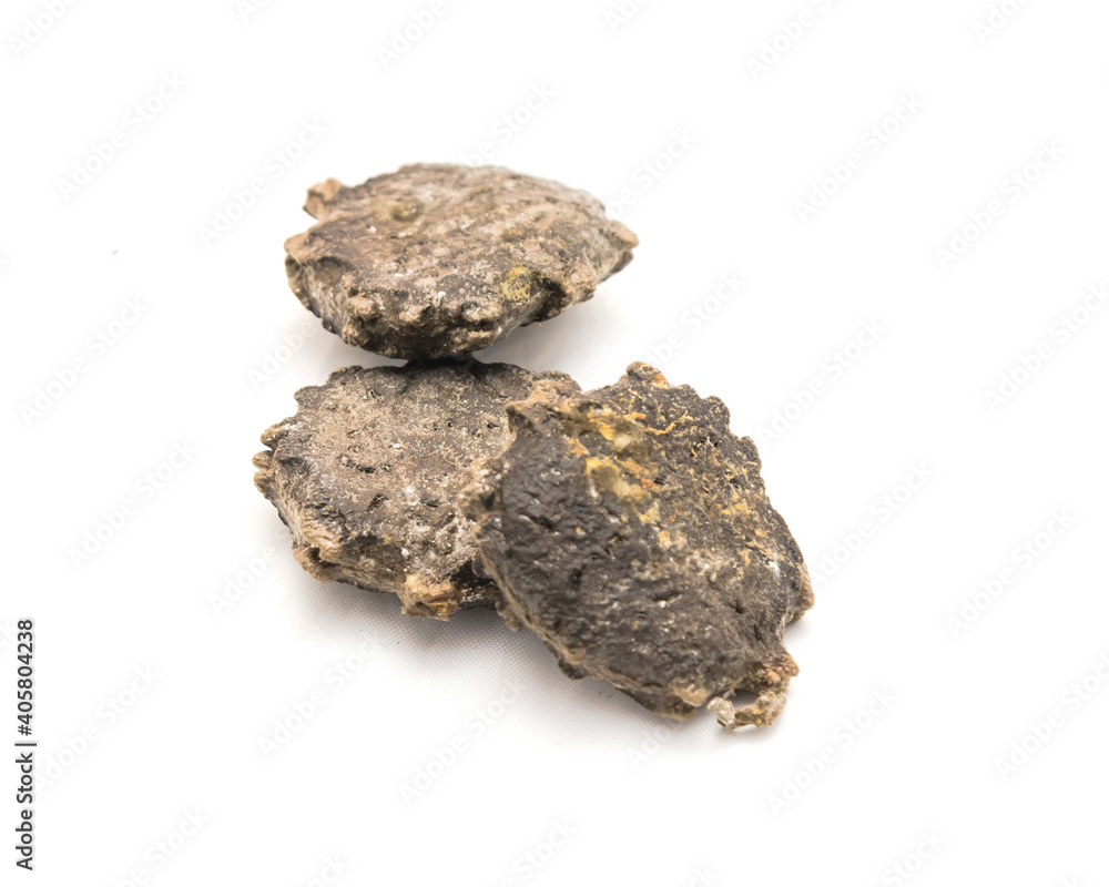 Three gac seeds (momordica cochinchinensis) isolated on white background