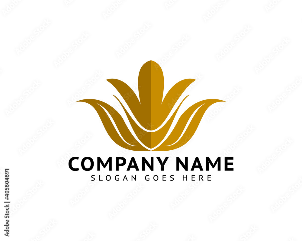 Obraz premium Abstract flower logo icon vector design