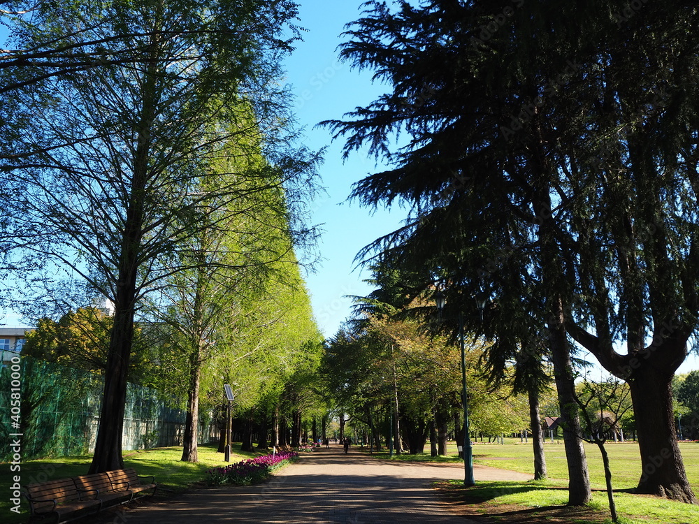 Obraz premium OLYMPUS DIGITAL CAMERA