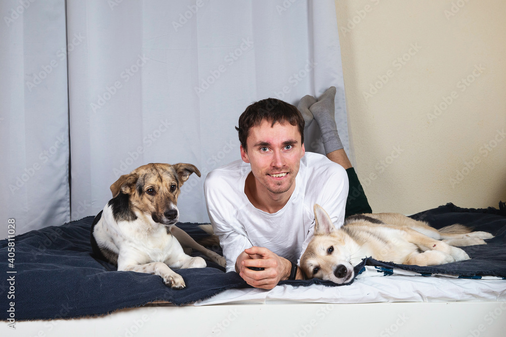 Man lying with Dogs on bed in living room Man lying with Dogs on bed in living room