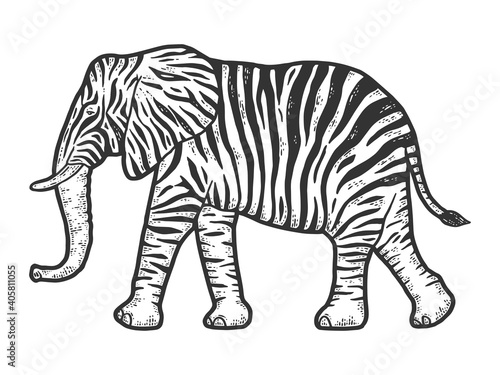 fictional animal zebra elephant. Engraving vector illustration.