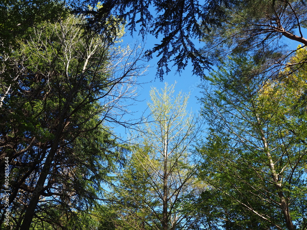 Obraz premium OLYMPUS DIGITAL CAMERA