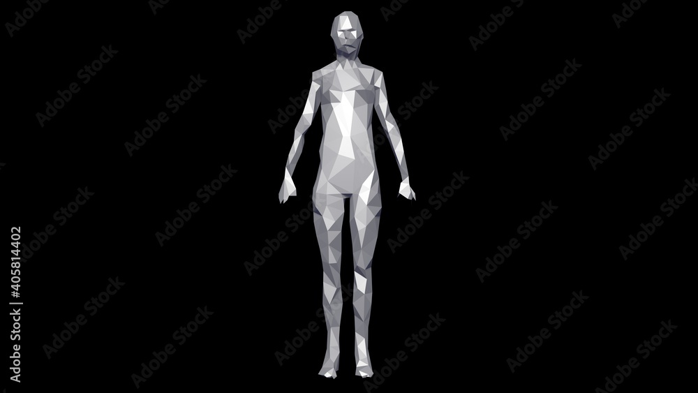 3d female model low resolution solid surface object . Polygonal woman standing. Polygon reduction. 3d rendering illustration . 3d female model low resolution solid surface object . Polygonal woman standing. Polygon reduction. 3d rendering illustration .