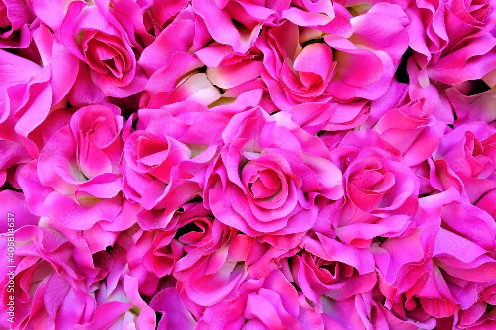 bright pink background made of artificial flowers