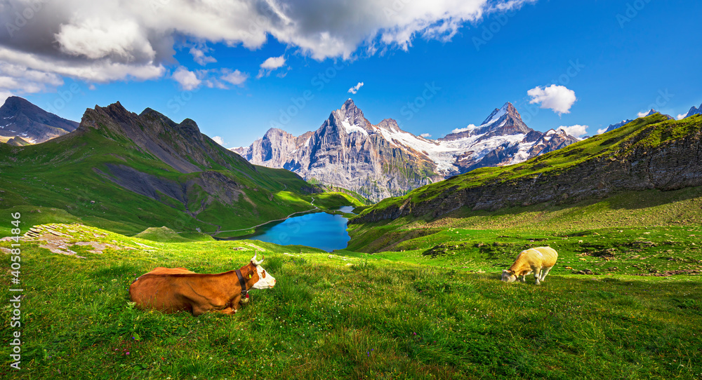 Sunrise view on Bernese range above Bachalpsee lake. Popular tourist attraction. Location place Swiss alps, Grindelwald valley, Europe.