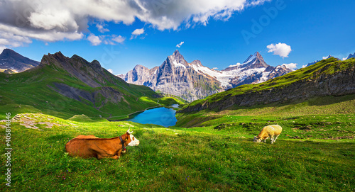 Obraz na płótnie Sunrise view on Bernese range above Bachalpsee lake. Popular tourist attraction. Location place Swiss alps, Grindelwald valley, Europe. w salonie