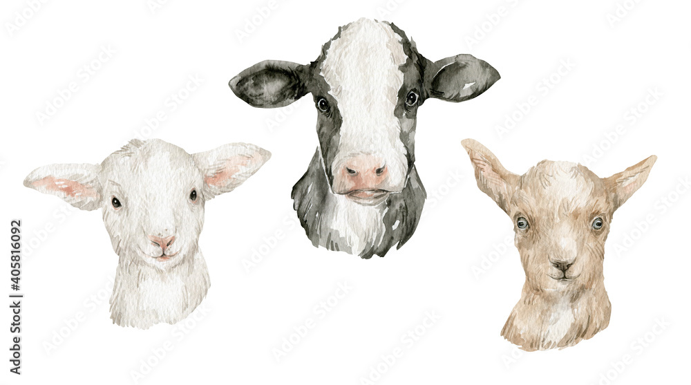 Fototapeta premium Watercolor cute farm animals. Cow, sheep, goat. Heads of domestic animals. Rural life