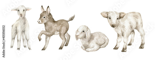 Watercolor cute farm baby animals. Goat  cow  sheep  donkey. Young domestic animal  easter babies.